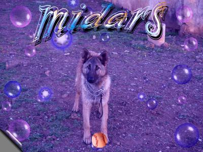                                            midars