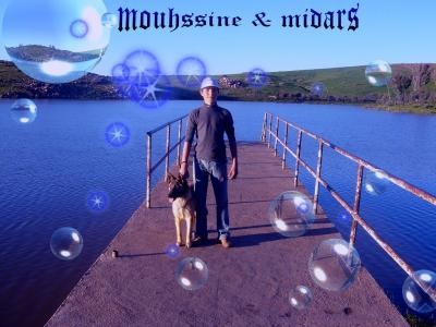                                  mohssine &  midars