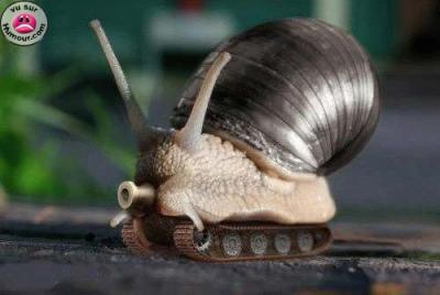 al7arb byna baboch  wa ba3bol